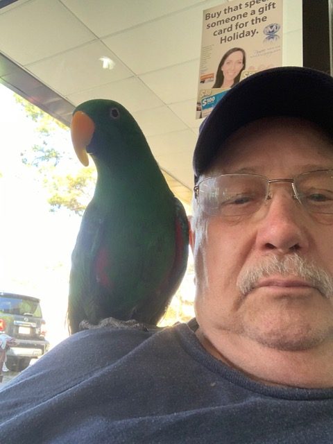 6A15A787-0AB6-48E1-9A69-07273393C3E0-IMG_0980 (1)